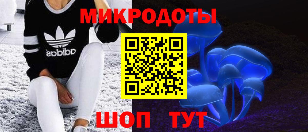Галлюциногенные грибы прущие грибы  Вход с VPN  Калининград  Галлюциногенные грибы Psilocybe 