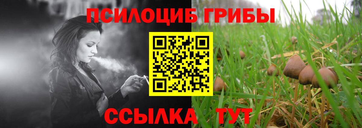 Галлюциногенные грибы GOLDEN TEACHER Калининград